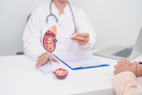 腎機能を確認しよう